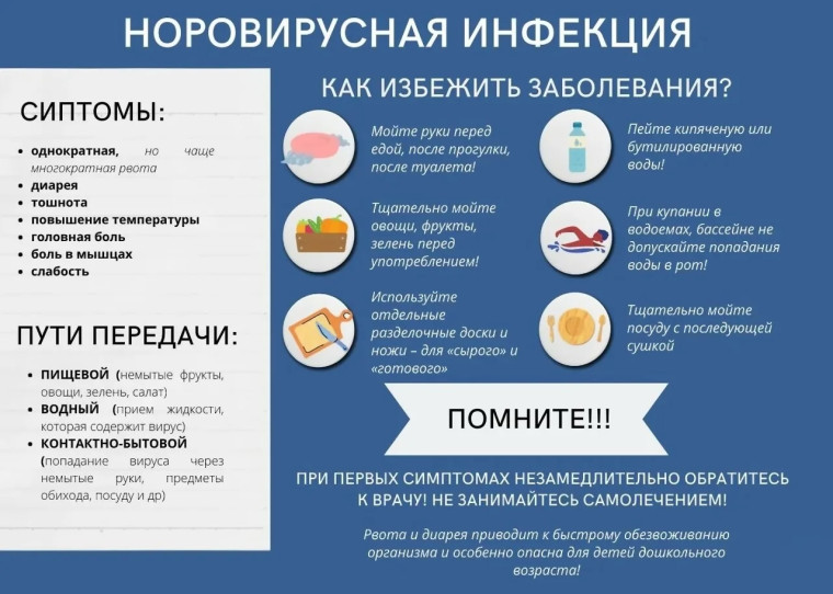Норовирусная инфекция, меры ее профилактики.